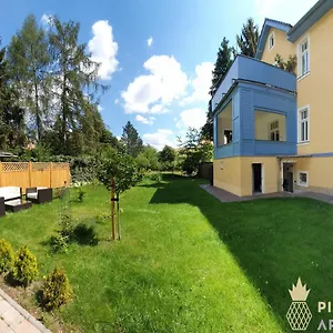 Pineapple Dresdner Heide Mit Garten Drezno